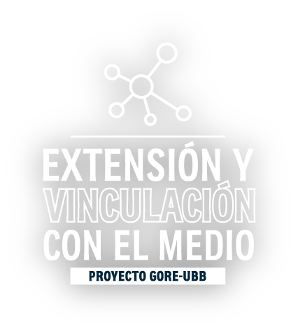 Logotipo Extension Y Vinculación Con El Medio